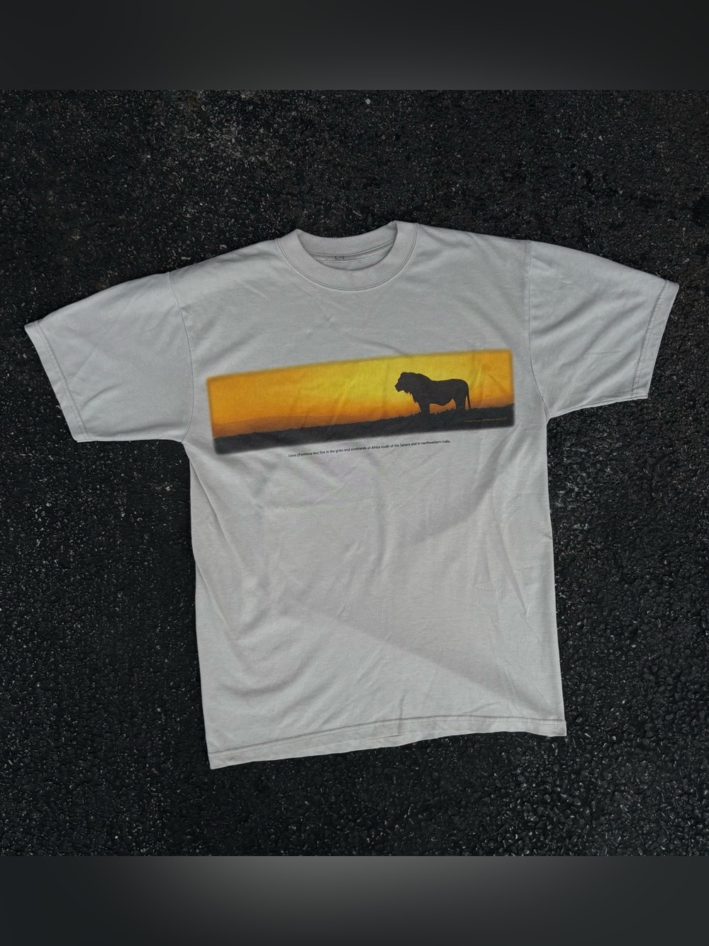 Vintage National Geographic Lion Sunset T Shirt Mens Medium Frans Lanting 2004